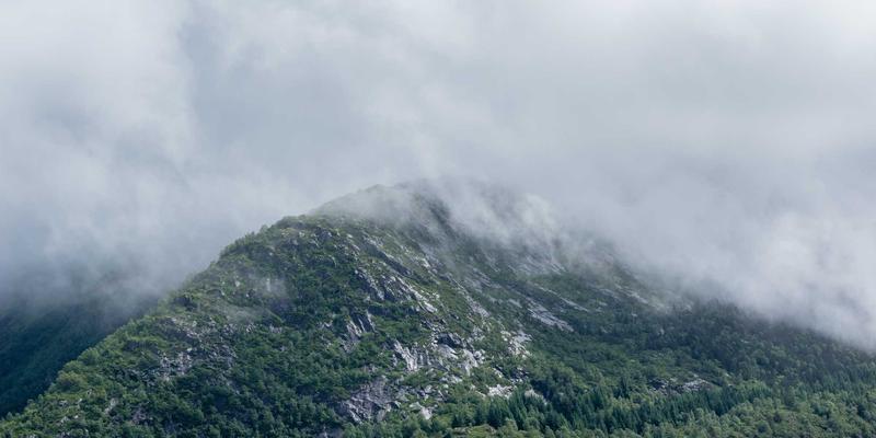 2024年K-12教育政策深度解析:三大变革与家长智慧应对指南