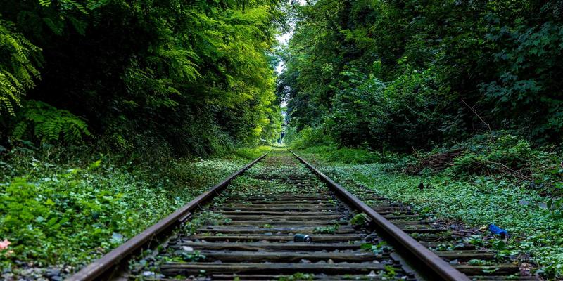 双师课堂2.0:揭秘主讲名师与辅导教师的黄金分工与协同进化策略