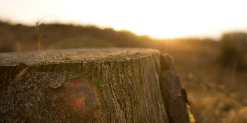 家庭教育投资回报率：用数据思维破解择校与辅导迷局