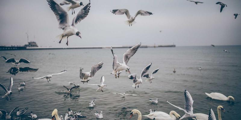 教育元宇宙的虚实融合:VR/AR如何重塑沉浸式学习与SEDU100评估新范式