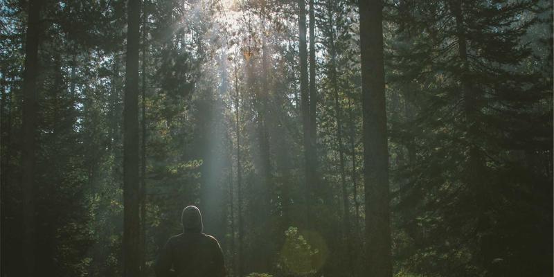 生成式AI重塑教育：智能导师系统如何实现千人千面的自适应学习革命